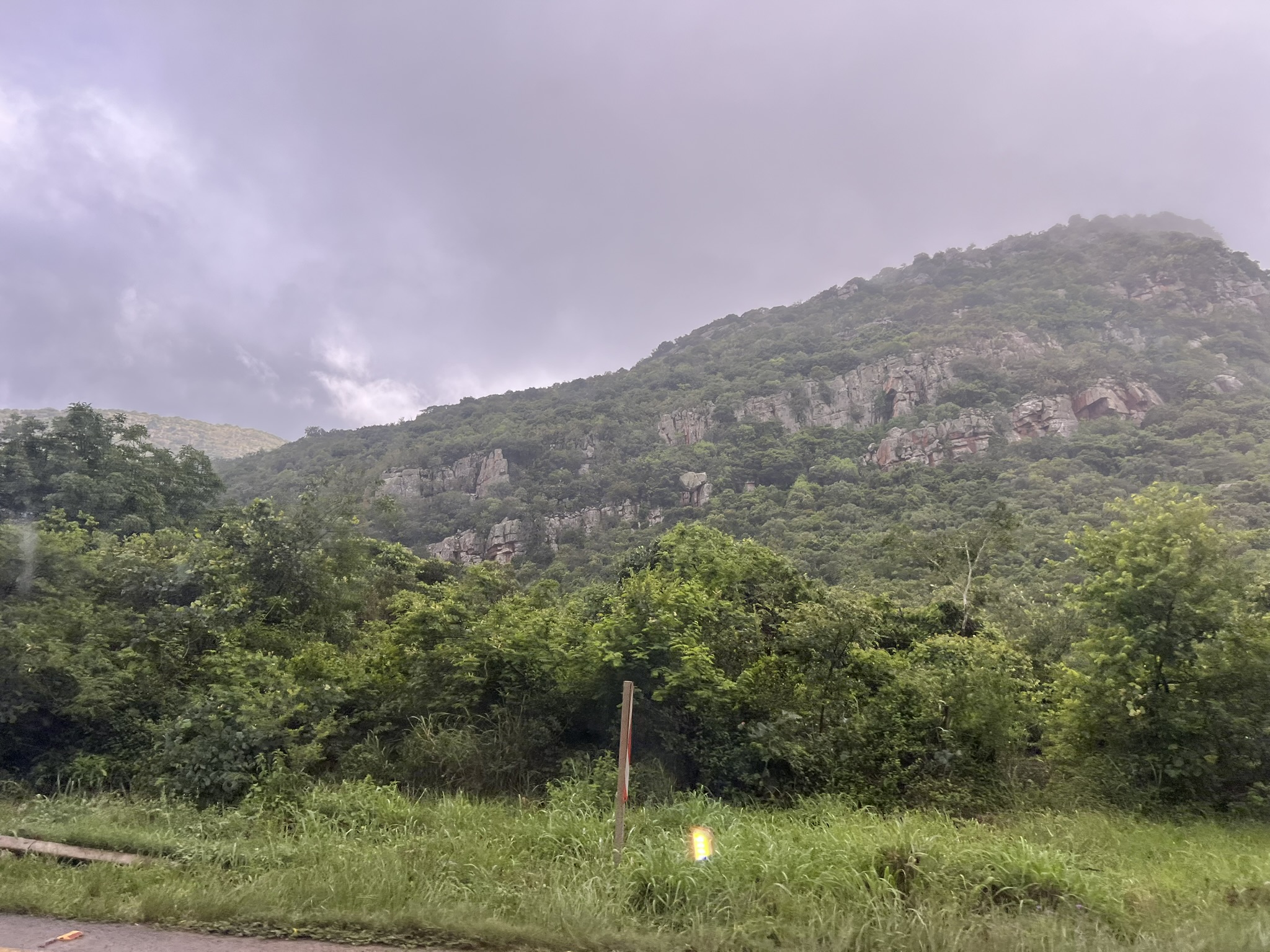 Afromontane Forest on the south face of the Soutpansberg.